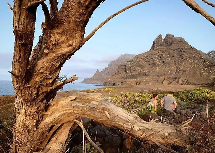 Views Punta Del Hidalgo